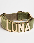 Collier personnalisé pour chien avec lettres en métal doré